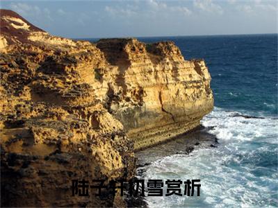 陆子轩初雪小说免费大结局全集免费阅读 陆子轩初雪章节目录