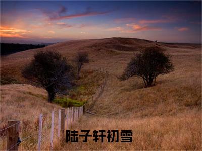 陆子轩初雪免费阅读无弹窗（陆子轩初雪）全文免费阅读无弹窗大结局_陆子轩初雪最新章节列表_笔趣阁（陆子轩初雪）