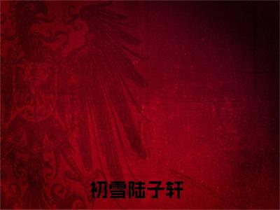 初雪陆子轩(初雪陆子轩）小说全文免费阅读无弹窗大结局_（初雪陆子轩）初雪陆子轩小说全文免费阅读最新章节列表笔趣阁（初雪陆子轩）