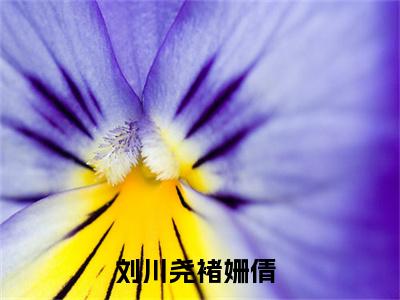 （刘川尧褚姗倩）全文免费阅读无弹窗大结局_刘川尧褚姗倩免费最新章节列表_笔趣阁