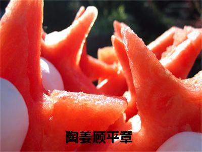 陶姜顾平章（陶姜顾平章）免费阅读全本资源-热门新书陶姜顾平章在线阅读