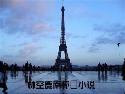 抖音新书热荐林空鹿南怀璟-小说全文完整版免费阅读
