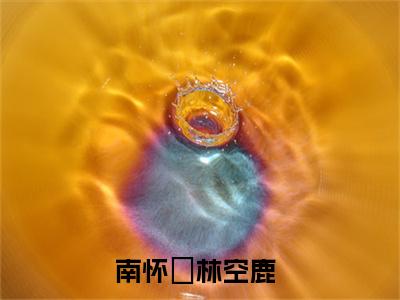 南怀璟林空鹿全网首发完整小说主角南怀璟林空鹿在线阅读