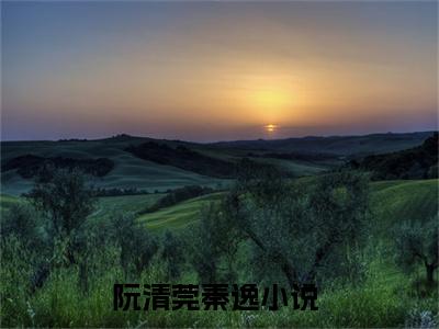 阮清莞秦逸知乎小说-阮清莞秦逸小说哪里能看