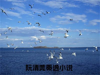阮清莞秦逸已完结小说全集阅读（阮清莞秦逸完整版大结局）阮清莞秦逸小说全文阅读笔趣阁