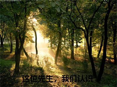 这位先生，我们认识全文小说（许星辰卫景曜）-完结版热文许星辰卫景曜（这位先生，我们认识）小说免费阅读