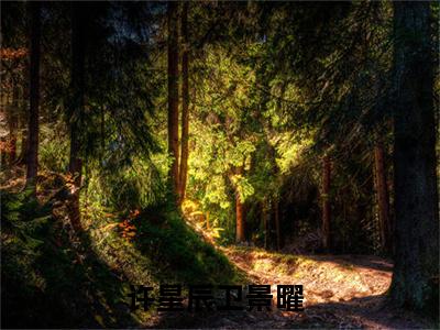 这位先生，我们认识（许星辰卫景曜）经典小说全文免费阅读无弹窗_（许星辰卫景曜）小说全文免费阅读最新章节_笔趣阁