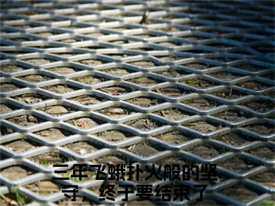 苏月顾风小说（三年飞蛾扑火般的坚守，终于要结束了）最新章节阅读-苏月顾风（三年飞蛾扑火般的坚守，终于要结束了）免费阅读无弹窗大结局