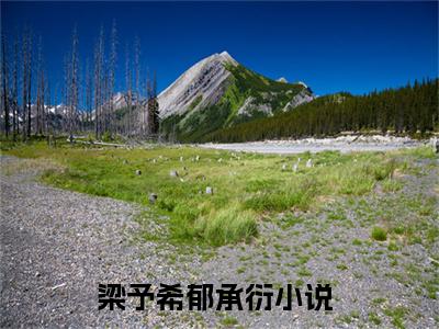 梁予希郁承衍在哪看无弹窗全文