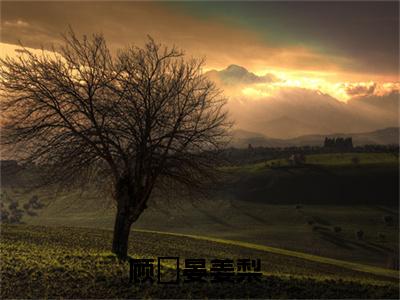 顾祇晏姜梨（顾祇晏姜梨）无广告免费阅读-顾祇晏姜梨小说最后结局如何