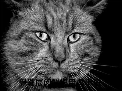 尹翱宸闵馨悦全文（尹翱宸闵馨悦）全文免费阅读无弹窗大结局_（尹翱宸闵馨悦全文）尹翱宸闵馨悦全文最新章节列表_笔趣阁（尹翱宸闵馨悦全文）