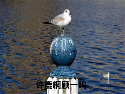 许鹿桐顾一鸣全文小说（许鹿桐顾一鸣）-完结版热文许鹿桐顾一鸣小说免费阅读