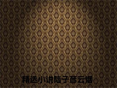 陆子彦云烟抖音高赞小说 陆子彦云烟全文无弹窗阅读