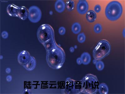 陆子彦云烟小说全文免费在线阅读-陆子彦云烟全文试读最新章节列表