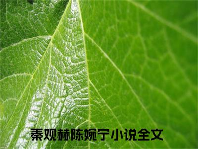 秦观赫陈婉宁(寒冬观鹤不予)全文免费阅读无弹窗大结局_秦观赫陈婉宁最新章节列表_笔趣阁(寒冬观鹤不予)