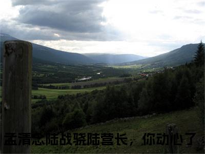 陆营长，你动心了全文免费阅读无弹窗大结局（孟清念陆战骁）_陆营长，你动心了最新章节列表_笔趣阁（孟清念陆战骁）