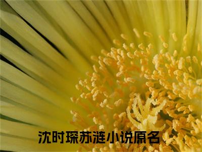 快手热推沈时琛苏涟（沈时琛苏涟）最新小说大结局-小说全文免费在线赏析
