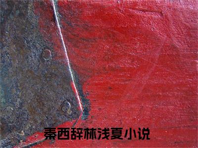 秦西辞林浅夏（秦西辞林浅夏）全文免费阅读-秦西辞林浅夏最新章节列表_笔趣阁