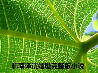 林南译沈孀凝小说免费阅读（林南译沈孀凝）全文免费阅读无弹窗大结局_林南译沈孀凝小说免费阅读最新章节列表_笔趣阁（林南译沈孀凝）