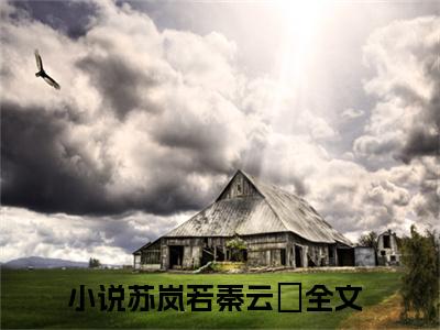 星光不负（苏岚若秦云璟）小说全文免费阅读无弹窗大结局_星光不负全文在线阅读无弹窗（苏岚若秦云璟）