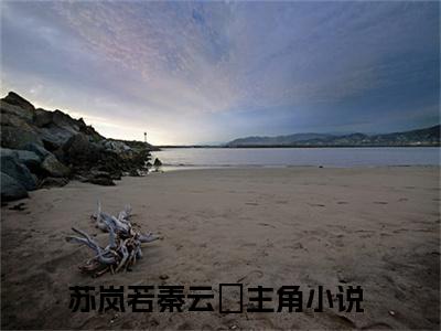 苏岚若秦云璟全文免费阅读大结局-星光不负最新章节列表笔趣阁