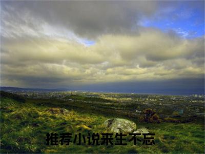 来生不忘（宋晚盈顾寒生）免费小说-宋晚盈顾寒生（来生不忘）最新章节完整版阅读