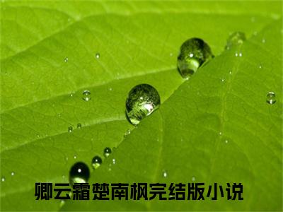 卿云霜楚南枫（卿云霜楚南枫）全文免费阅读无弹窗大结局-卿云霜楚南枫最新章节列表-笔趣阁