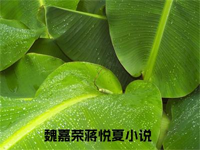 魏嘉荣蒋悦夏（魏嘉荣蒋悦夏）全文免费阅读无弹窗大结局_魏嘉荣蒋悦夏最新章节列表_笔趣阁（魏嘉荣蒋悦夏）