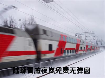全网热搜（陆琢青戚夜岚）是什么小说_主角是（陆琢青戚夜岚）的小说（陆琢青戚夜岚）最新章节无弹窗阅读