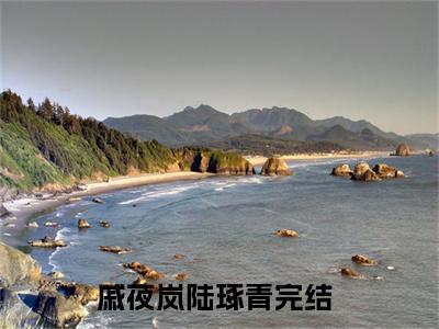 戚夜岚陆琢青（戚夜岚陆琢青）全文免费阅读无弹窗_戚夜岚陆琢青最新小说_笔趣阁（戚夜岚陆琢青）