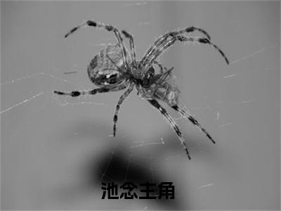 这该死的团宠谁要拿去（池念）全文免费阅读无弹窗大结局_池念免费最新章节列表_笔趣阁