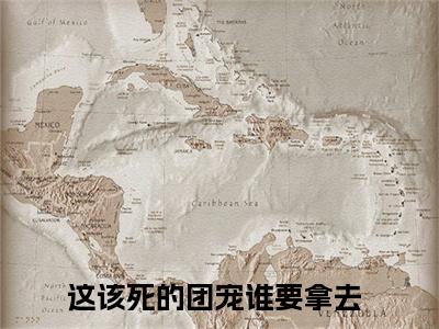 池念全集完整版大结局-这该死的团宠谁要拿去小说在线赏析