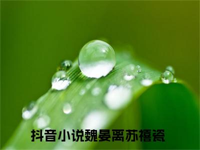 魏晏离苏禧瓷（魏晏离苏禧瓷）全文免费阅读无弹窗_魏晏离苏禧瓷最新小说_笔趣阁（魏晏离苏禧瓷）