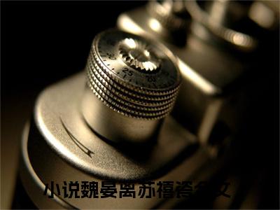 魏晏离苏禧瓷（魏晏离苏禧瓷）精选知乎免费小说_（魏晏离苏禧瓷）最新章节免费阅读