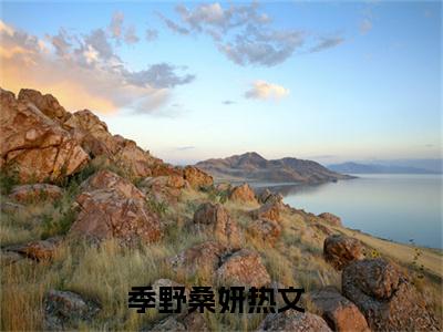 季野桑妍小说全文免费阅读-季野桑妍精选小说大结局阅读