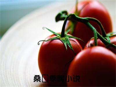 桑婳季峋小说（桑婳季峋）全文免费阅读无弹窗大结局_（桑婳季峋小说全文免费阅读无弹窗）桑婳季峋最新章节列表_笔趣阁（桑婳季峋小说）