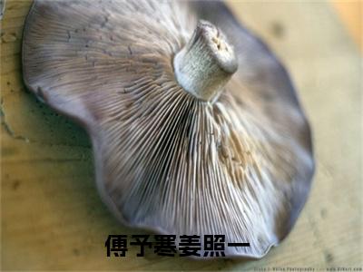 傅予寒姜照一全文免费大结局-傅予寒姜照一（傅予寒姜照一）结局在线阅读