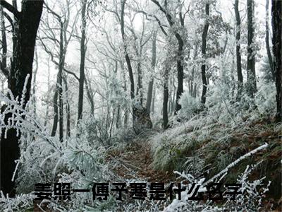 姜照一傅予寒(姜照一傅予寒)全文免费阅读无弹窗大结局_(姜照一傅予寒在线阅读)姜照一傅予寒最新章节列表笔趣阁（姜照一傅予寒）