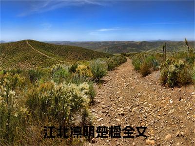 江北凛明楚楹（江北凛明楚楹）全文在线阅读无弹窗大结局_(江北凛明楚楹免费阅读全文大结局)最新章节列表_笔趣阁（江北凛明楚楹）