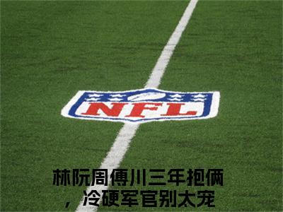 三年抱俩，冷硬军官别太宠全文免费在线阅读大结局_（林阮周傅川免费阅读无弹窗）三年抱俩，冷硬军官别太宠全文免费完结版阅读（林阮周傅川）