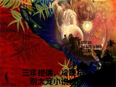 三年抱俩，冷硬军官别太宠全文免费阅读无弹窗大结局_（林阮周傅川）三年抱俩，冷硬军官别太宠免费阅读无弹窗最新章节列表_笔趣阁