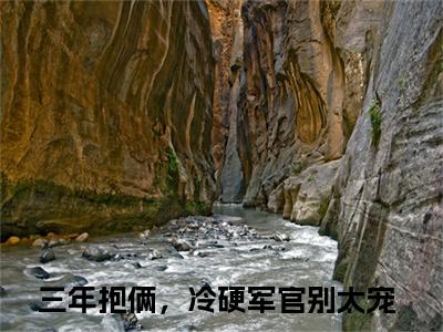 三年抱俩，冷硬军官别太宠在线阅读全文免费阅读无弹窗大结局_林阮周傅川最新章节列表_笔趣阁