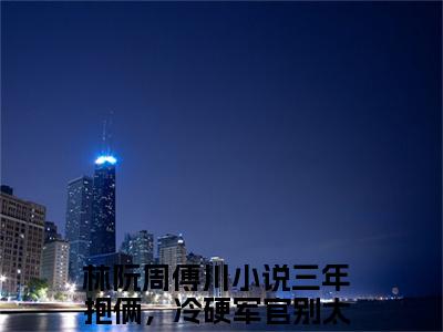 林阮周傅川(三年抱俩，冷硬军官别太宠)全文免费阅读无弹窗大结局_(三年抱俩，冷硬军官别太宠)林阮周傅川全文免费完结版阅读(三年抱俩，冷硬军官别太宠)