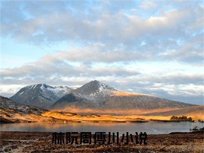 林阮周傅川（三年抱俩，冷硬军官别太宠）全文免费阅读无弹窗大结局_林阮周傅川在线阅读（三年抱俩，冷硬军官别太宠）