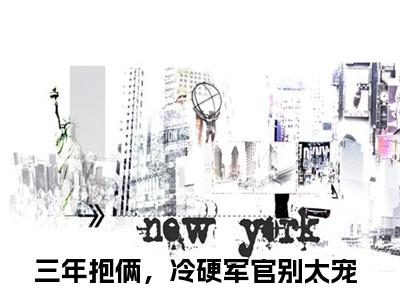 林阮周傅川（三年抱俩，冷硬军官别太宠）小说全文免费阅读正版无弹窗，林阮周傅川免费阅读