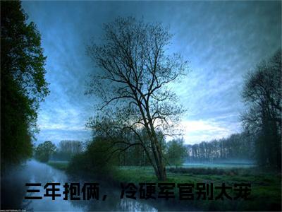 林阮周傅川三年抱俩，冷硬军官别太宠最新章节免费阅读-林阮周傅川小说推荐三年抱俩，冷硬军官别太宠精彩章节在线阅读