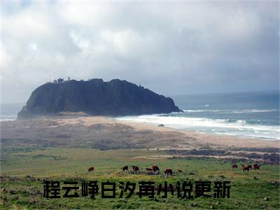 程云峥白汐苒（程云峥白汐苒）小说全文免费阅读-程云峥白汐苒免费阅读完整版