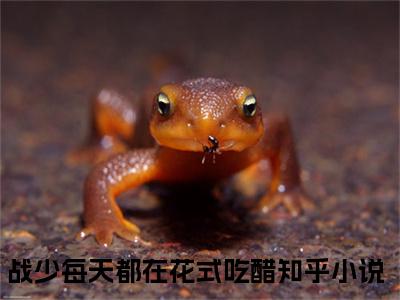 战少每天都在花式吃醋小说全文免费阅读_战少每天都在花式吃醋（顾朝慕战云骁）最新章节列表笔趣阁