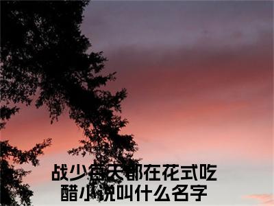 战少每天都在花式吃醋顾朝慕战云骁全文阅读 战少每天都在花式吃醋免费阅读无弹窗