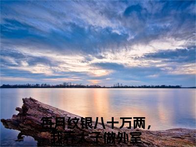 每月纹银八十万两，我养太子做外室沈君曦萧宸正版美文欣赏 沈君曦萧宸小说全文完整版免费阅读